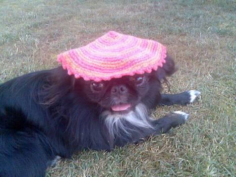 Japanese Sally & Frede ;O) - Sommer 2006 billede 3