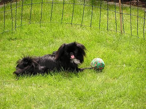 Japanese Sally & Frede ;O) - Sommer 2006 billede 8