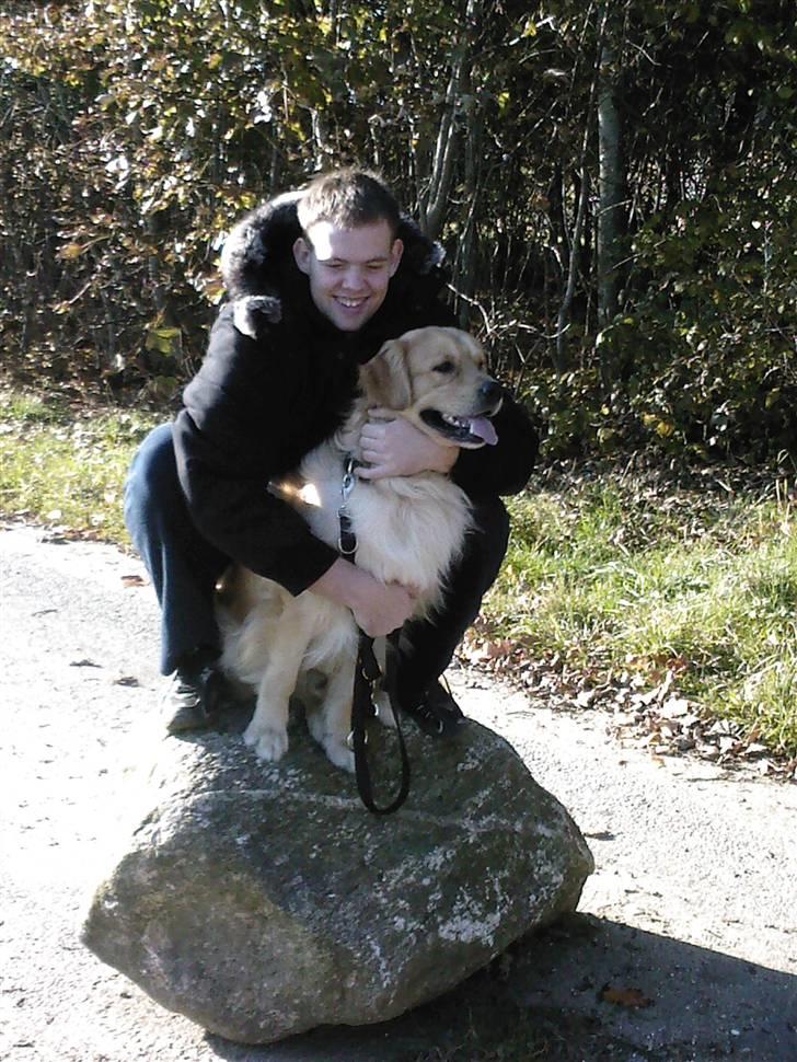 Golden retriever Snoop - min far og mig. billede 15