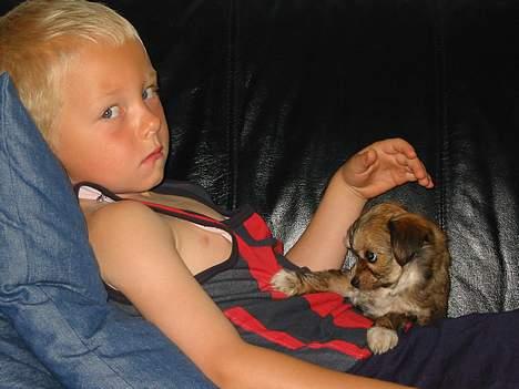 Blanding af racer NUSER - Godmorgen!!! billede 8