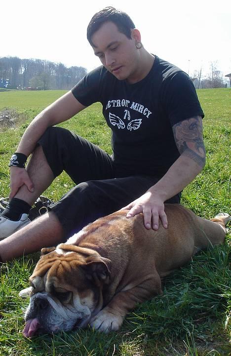 Engelsk bulldog Tabasco - Hygger mig lige med Jeff på Tangkrogen! billede 4