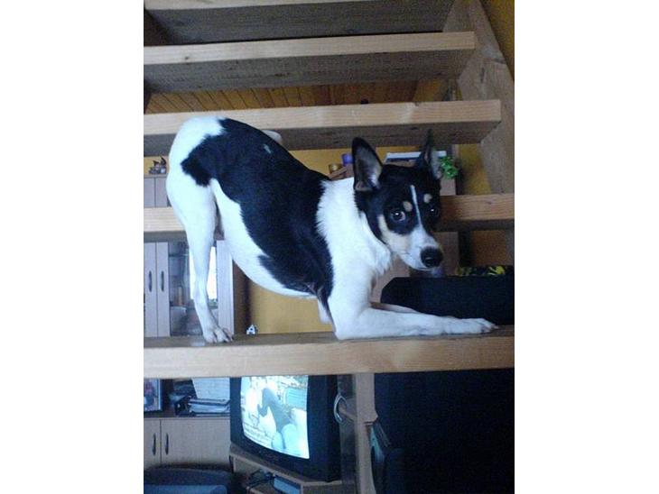 {{currentPhoto.altText}} billede {{currentPhoto.number}}