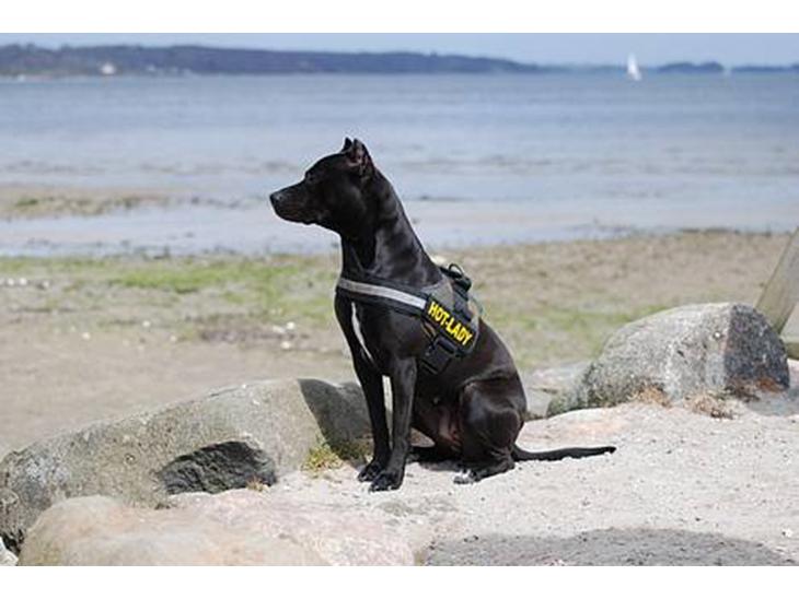 {{currentPhoto.altText}} billede {{currentPhoto.number}}