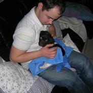 Kleiner münsterländer Riki 