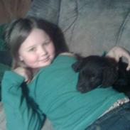 Blanding af racer Bølle