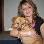 Blanding af racer Felia 