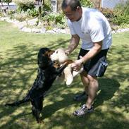 Blanding af racer Bobby