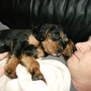 Blanding af racer Bobby