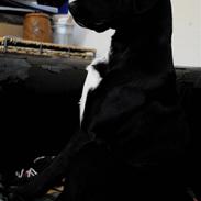 Blanding af racer silke