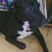 Blanding af racer silke