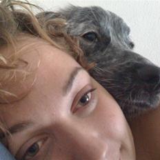 Blanding af racer Aslo