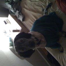 Blanding af racer Aslo