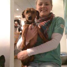 Blanding af racer Anton