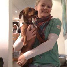 Blanding af racer Anton