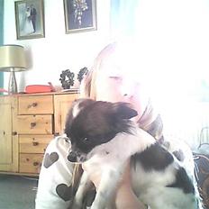 Chihuahua Ronja