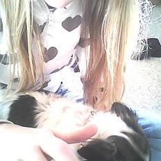 Chihuahua Ronja