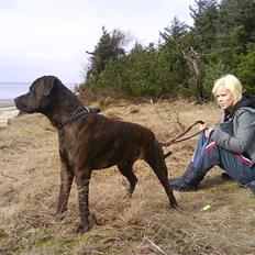 Blanding af racer Aiko