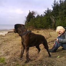 Blanding af racer Aiko