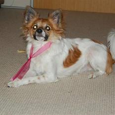 Blanding af racer ELLIOT