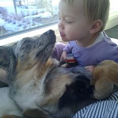 Blanding af racer nevada