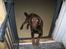 Labrador retriever kenzo<3 R.I.P min prins ;'( - kenne´mand<33