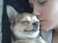 Chihuahua Hamlet - Hygge hygge...