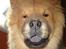 Chow chow Ballou - RIP <3 - Grr