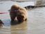 Chow chow Ballou - RIP <3 - Mmmm vand!