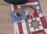 Blanding af racer (mops/pekingeser) Bob