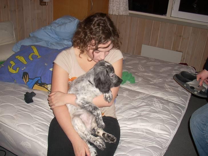 Blanding af racer Aslo - Aslo er meget elsket - og han elsker os igen! billede 6