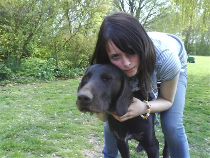 Langhåret hønsehund rokco<3 R.I.P. ;'( - tykke<3 & miiq <3 billede 4