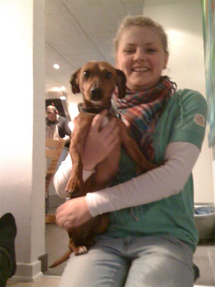 Blanding af racer Anton billede 1