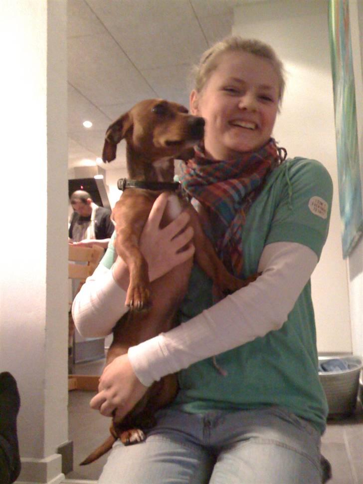 Blanding af racer Anton billede 2