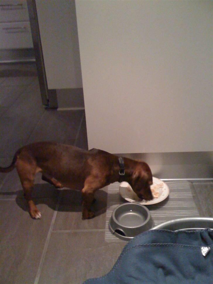 Blanding af racer Anton billede 6