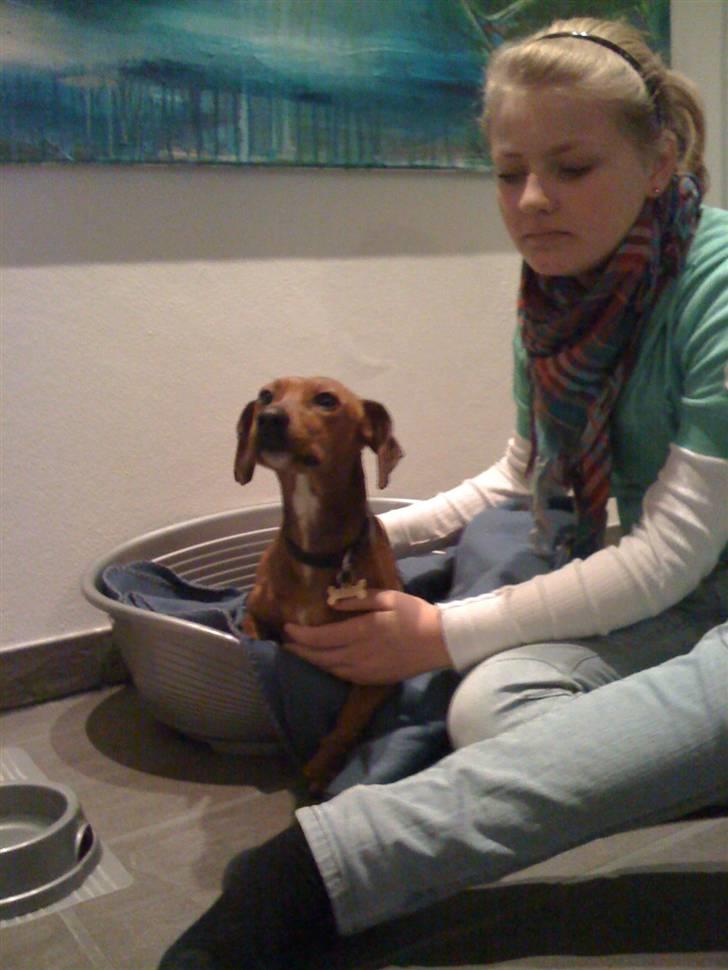 Blanding af racer Anton billede 7