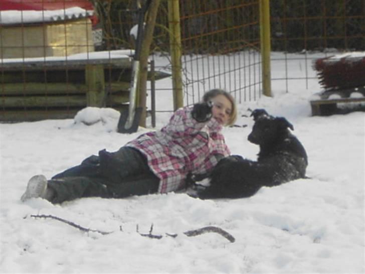 Blanding af racer Ziggi (Lille cirkus tøs<3 - We can like this and we love this ;D <!!3  Fotograf : Mor billede 16