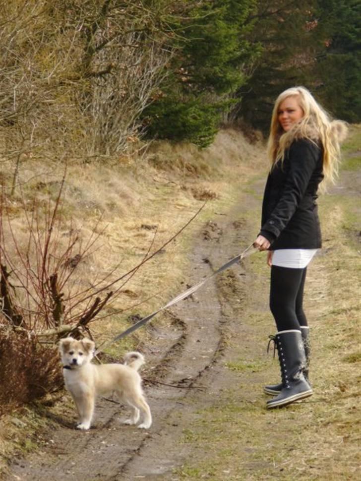 Blanding af racer Cody - Med "mor" igen.. billede 12