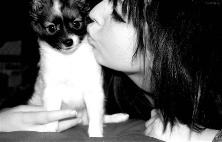 Blanding af racer ELLIOT - Mit ynglings billede af os :)  billede 9