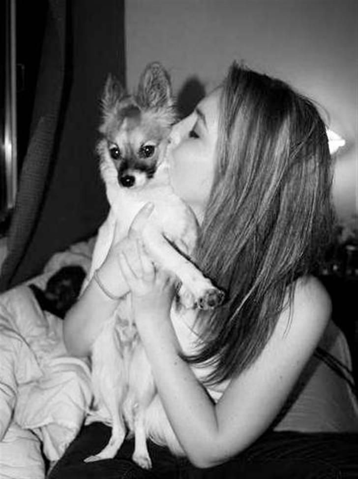 Blanding af racer ELLIOT - Elliot og mig :) billede 13