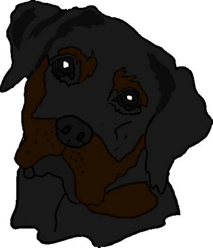 Rottweiler Tika - Anne-Sofie var lidt i tegne humør xD billede 11