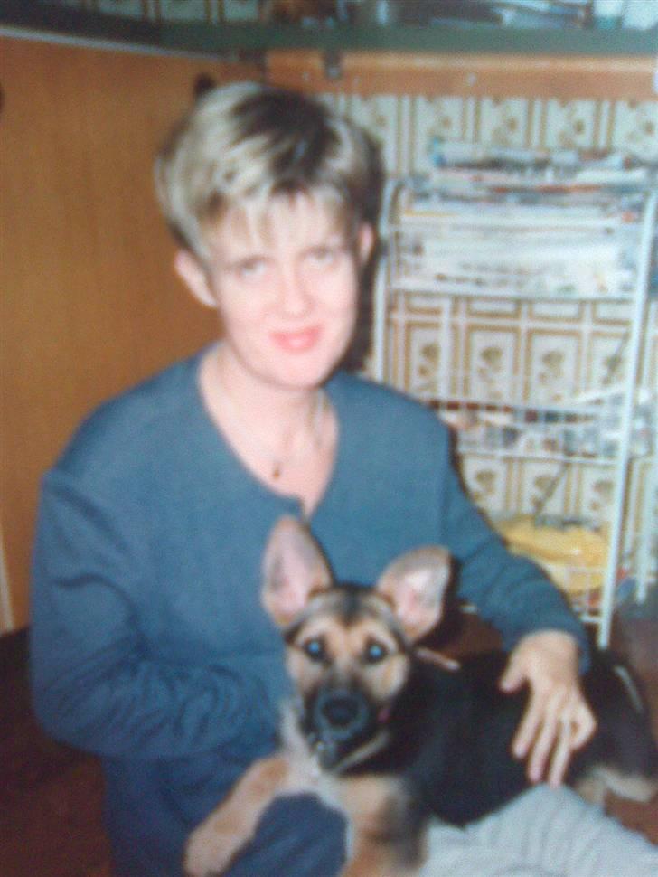 Blanding af racer maxi (R.I.P.) billede 16