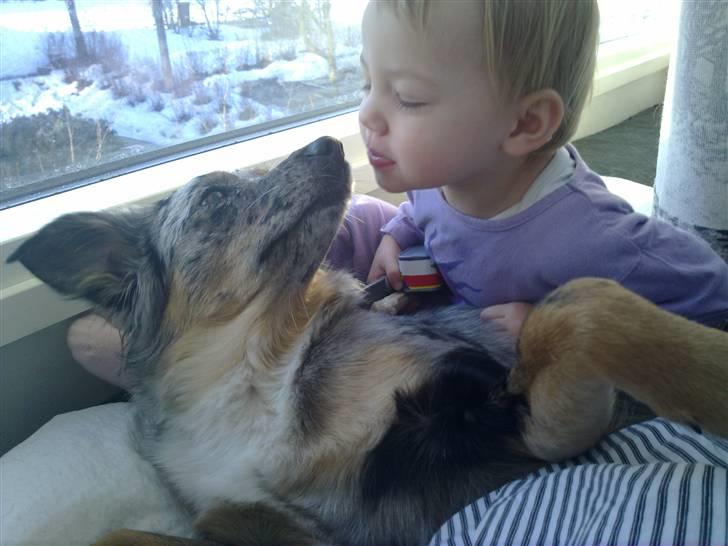 Blanding af racer nevada - min mors hun juggi der har fået hotspot billede 2