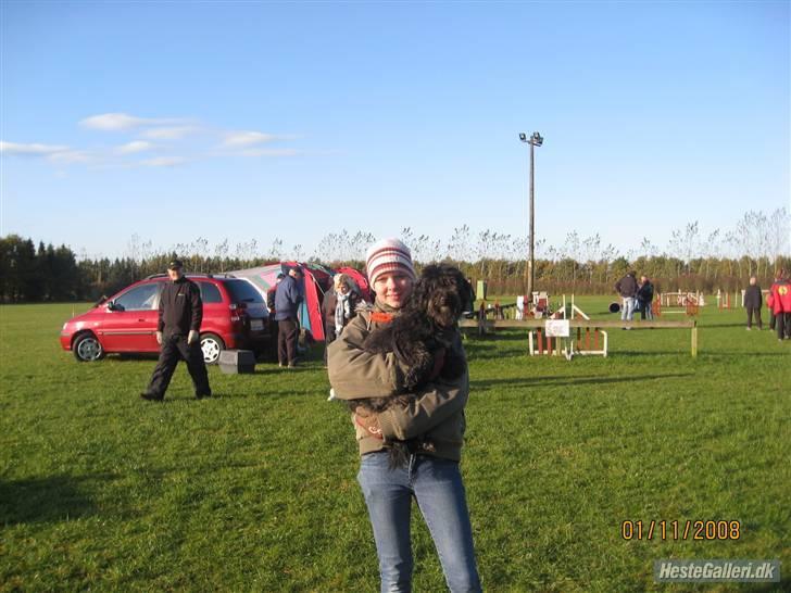 Blanding af racer Molly :P billede 14