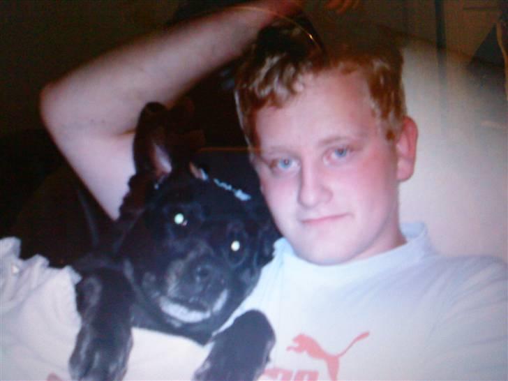 Blanding af racer Molli billede 3