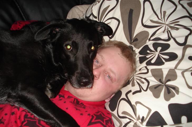 Blanding af racer Molli billede 5