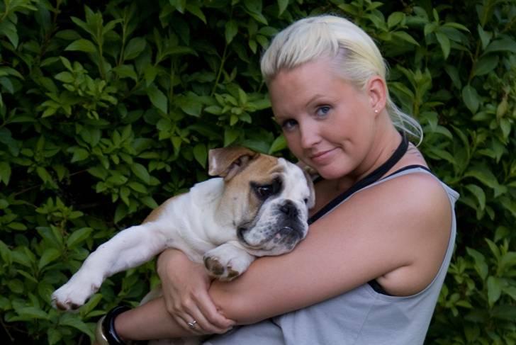 Engelsk bulldog Gunnar Larsen - Efter bryllup.... billede 9