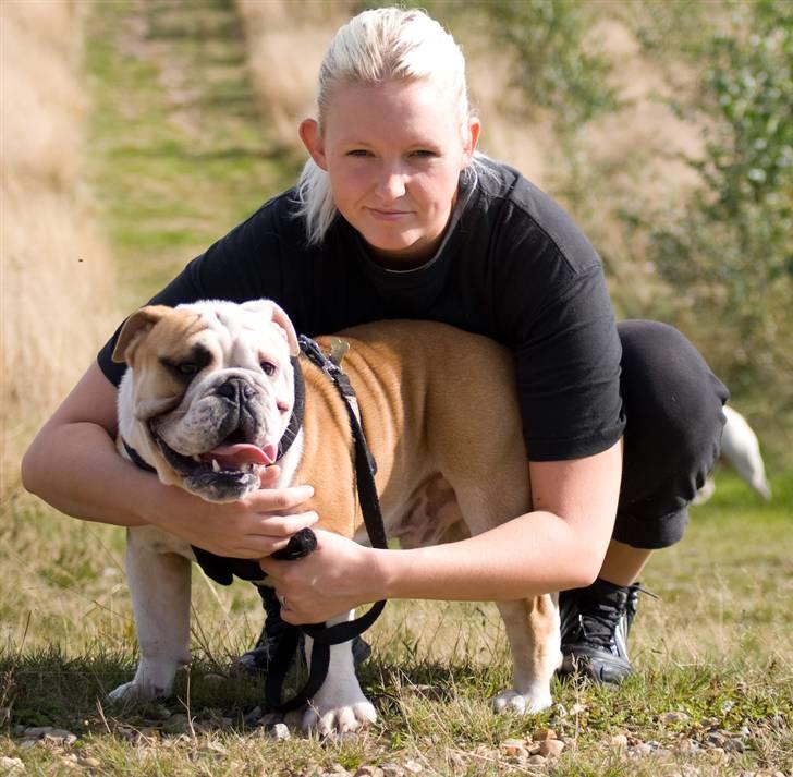 Engelsk bulldog Gunnar Larsen - Sjørup hundeskov........... billede 17
