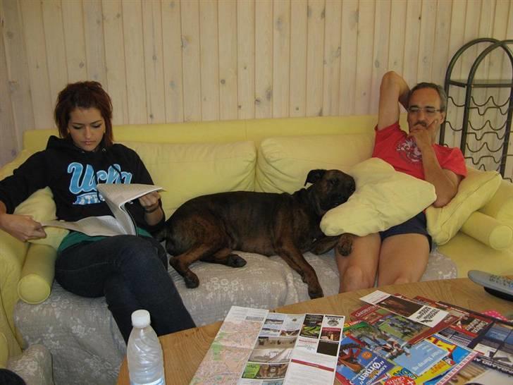 Blanding af racer ++BESS++ billede 3