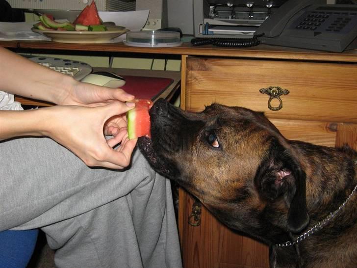 Blanding af racer ++BESS++ billede 5