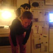 Dansk svensk gaardhund Figo